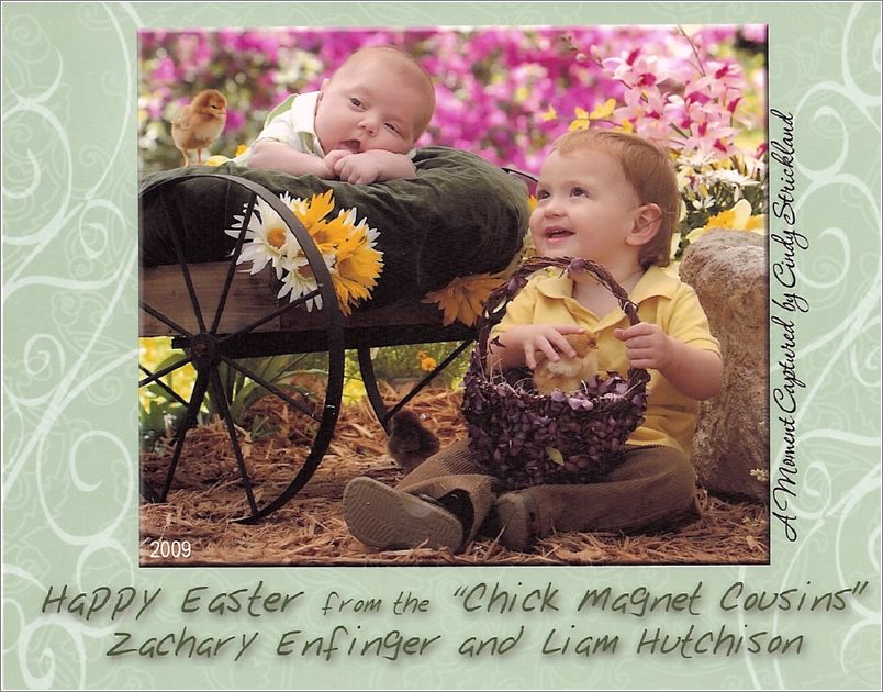 zchick1-2009