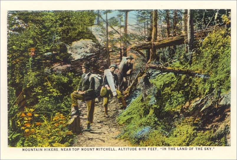      Mountain Hikers, near top of Mount Mitchell, altitude 6711 feet, 