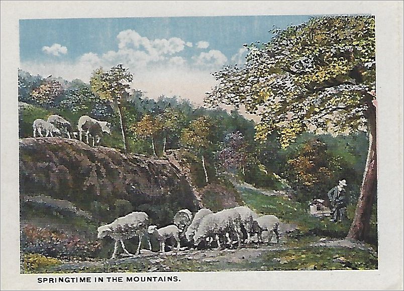    Springtime in the Mountains (lambs) spcxf004a01-05