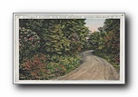 Click to enlarge Picturesque Roadway, Blue Ridge Association Grounds, near Black Mt, NC