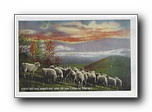 Click to enlarge    Sheep on the Mountain Side, In the Land of the Sky