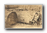 Click to enlarge Big Timber on the Blue Ridge Assembly Grounds, Black Mountain NC (conference dates on back)