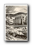Click to enlarge Dogwood Time, Blue Ridge NC