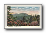 Click to enlarge    Mount Mitchell, 