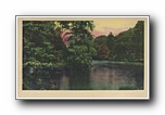 Click to enlarge (unmarked) river with trees (card has no APC number)