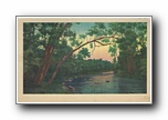Click to enlarge (unmarked) river with overhanging tree (card has no APC number)