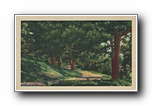 Click to enlarge (unmarked) road in country (card has no APC number)