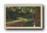 Click to enlarge (unmarked) paved road through country with street lights (card has no APC number)