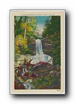 Click to enlarge Maiden-Hair Falls, Western North Carolina