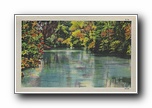 Click to enlarge (unmarked) river with trees