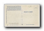 Click to enlarge x19-apcn330a01-r