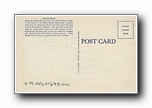 Click to enlarge x19-apcn695a01-r