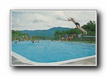 Click to enlarge Taking a cool plunge in the Camp Pool at Swannanoe 4-H Camp near Swannanoa, North Carolina (note Swannanoe 4-H Camp is spelled with an