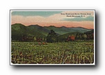 Click to enlarge Grey Beard and Seven Sisters from Black Mountain NC