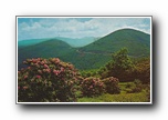Click to enlarge Blue Ridge Parkway at Craggy Gardens, Western North Carolina