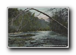 Click to enlarge Along Mountain Stream in the Land of the Sky