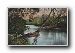 Click to enlarge Swannanoa River at Asheville NC