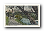 Click to enlarge Lover's Bridge on the Swannanoa (card has no SPC