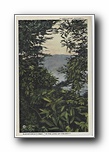 Click to enlarge A Vista of Mt. Mitchell, elevation 6711 feet