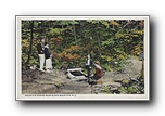Click to enlarge Mountain Spring near Black Mountain NC