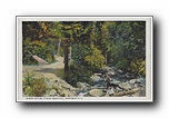 Click to enlarge Where Nature is Most Beautiful, Montreat NC
