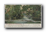 Click to enlarge Swannanoa River, Asheville NC (no frame)