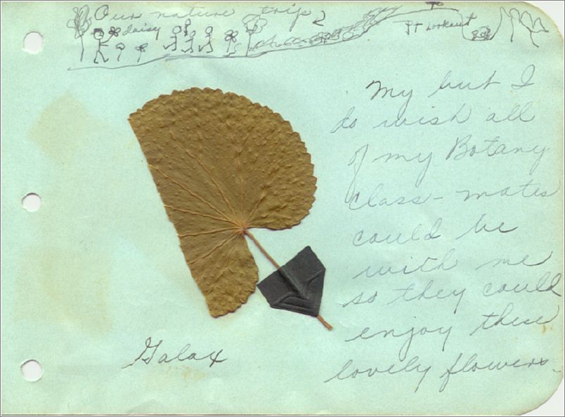 Lou Brown, scrapbook and diary (1927) x07-lbrown1927-29
