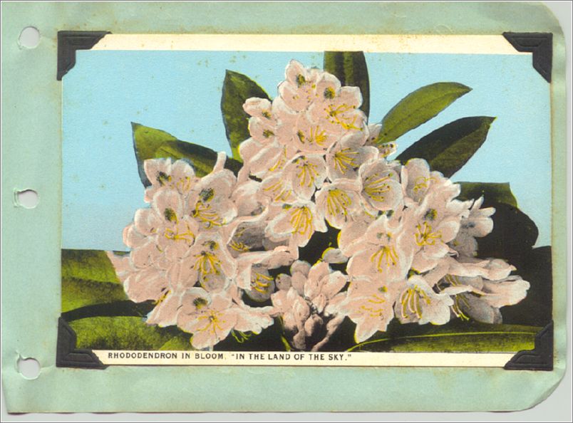 Lou Brown, scrapbook and diary (1927) x07-lbrown1927-39