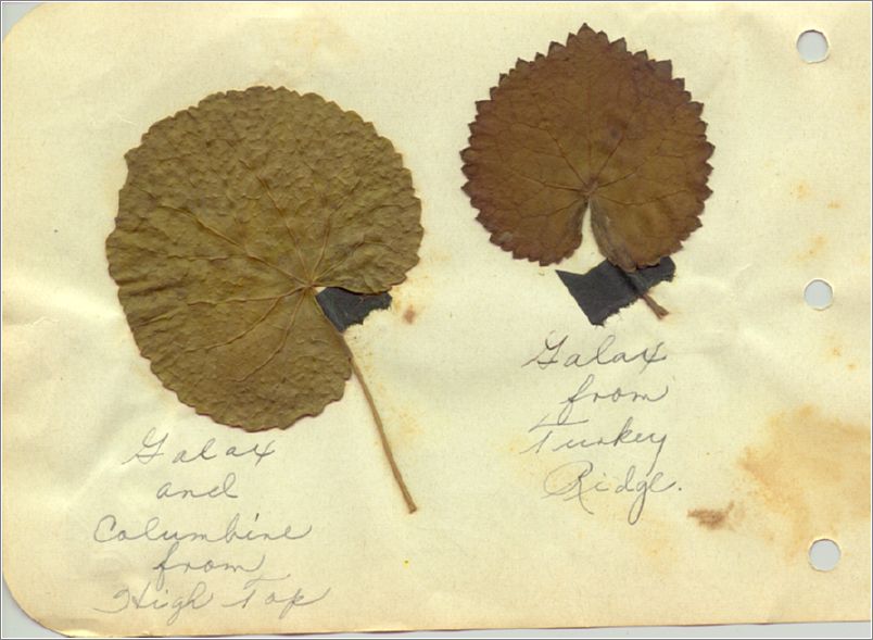 Lou Brown, scrapbook and diary (1927) x07-lbrown1927-66