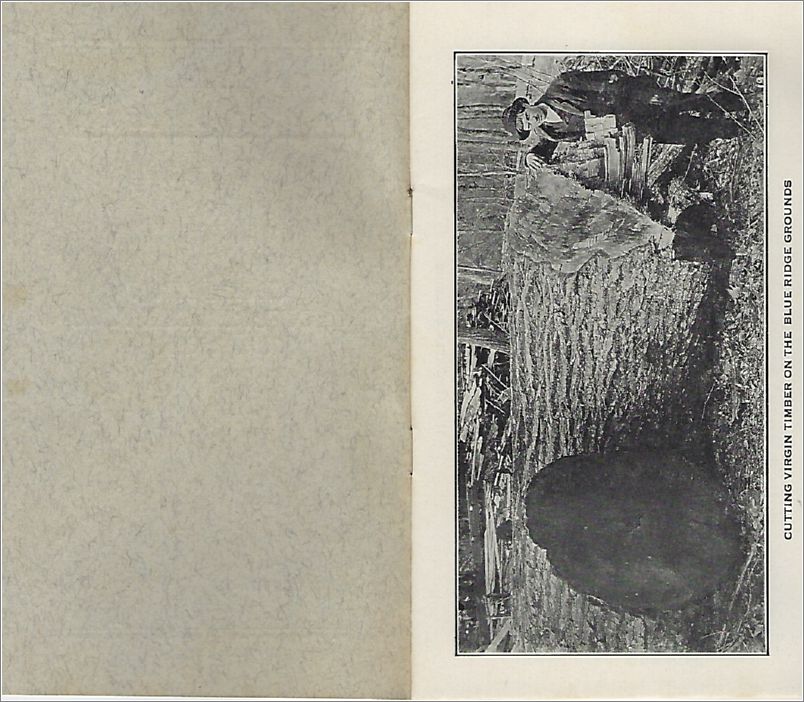 Blue Ridge Association for Christian Conferences and Training - Summary Statement 1926 x18-brsummarystatement1926-02