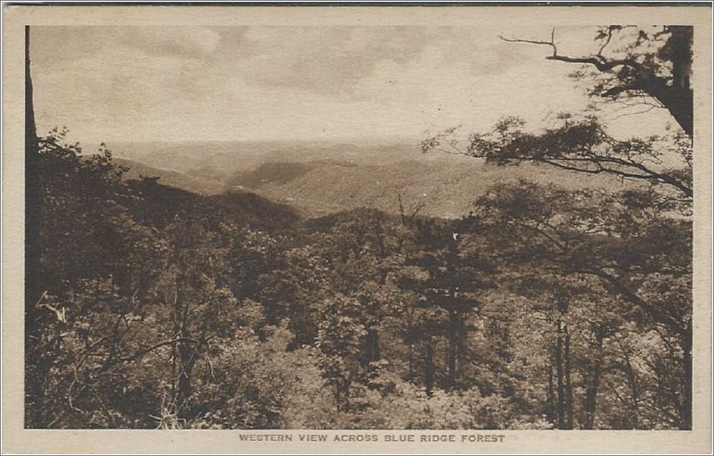 Western View across Blue Ridge Forest (no number) x19-alb000d01-f