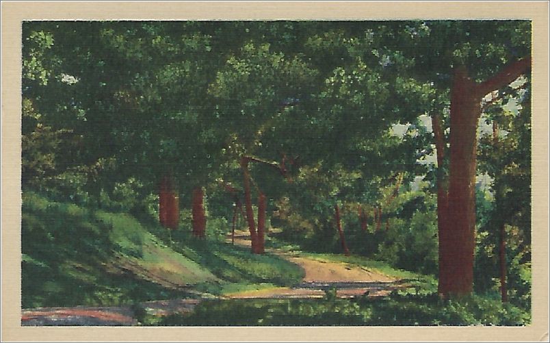 (unmarked) road in country (card has no APC number) x19-apc-08008-a01-f