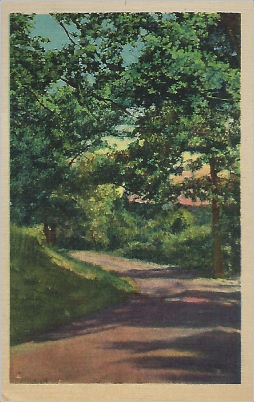 (unmarked) roadway in woods - vertical (card has no APC number) x19-apc-08011-a01-f
