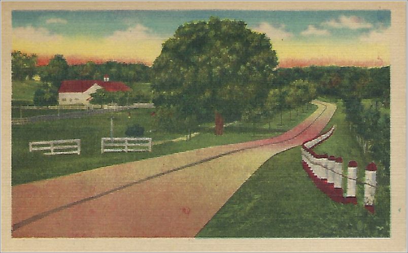 (unmarked) paved road through farm (card has no APC number) x19-apc-08013-a01-f