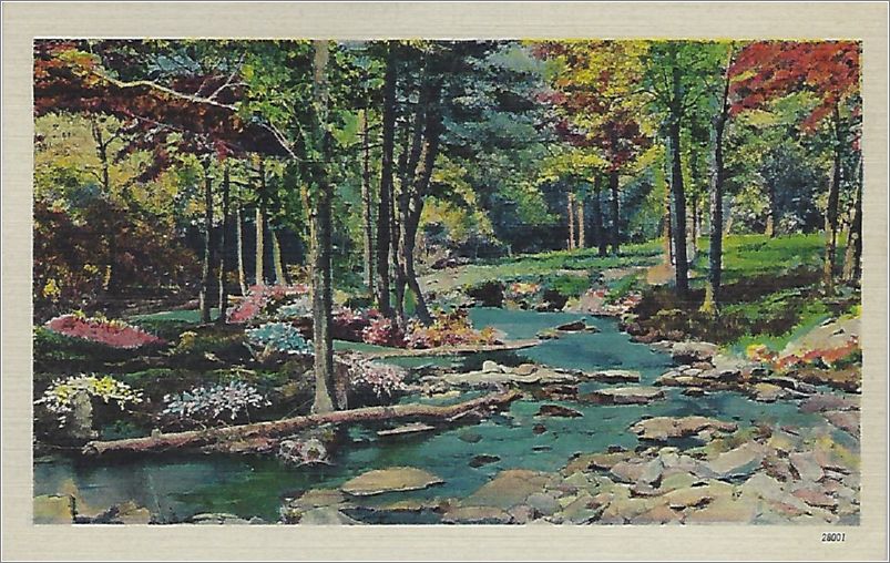(unmarked) stream with rocky bank (card has no APC number) x19-apc-28001-a01-f