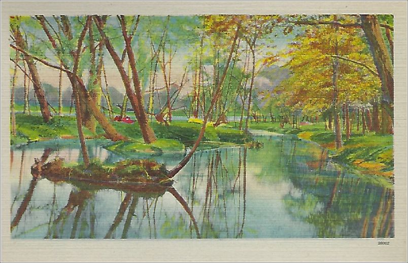 (unmarked) lake with trees (card has no APC number) x19-apc-28002-a01-f