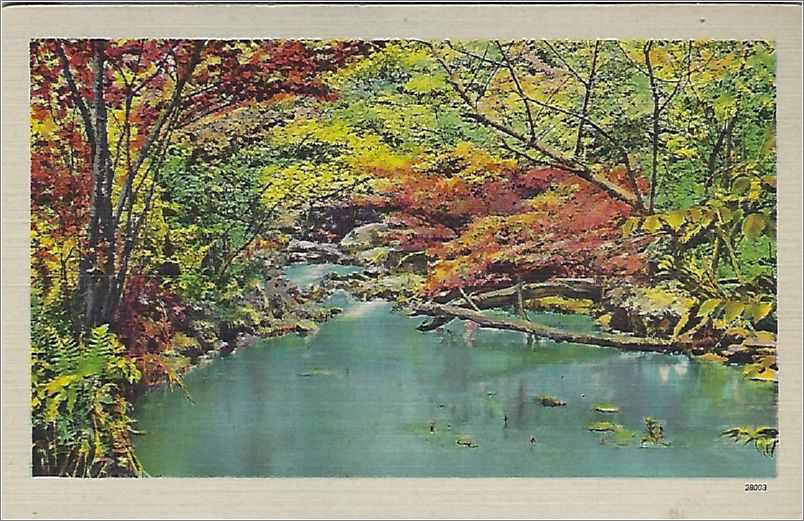 (unmarked) fall scene river with trees (card has no APC number) x19-apc-28003-a01-f