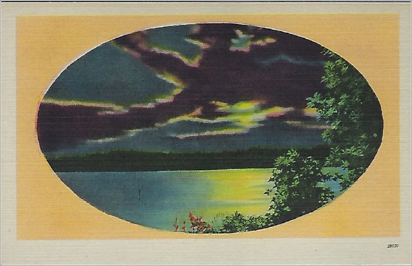 (unmarked) river through trees at night (card has no APC number) x19-apc-28020-a01-f