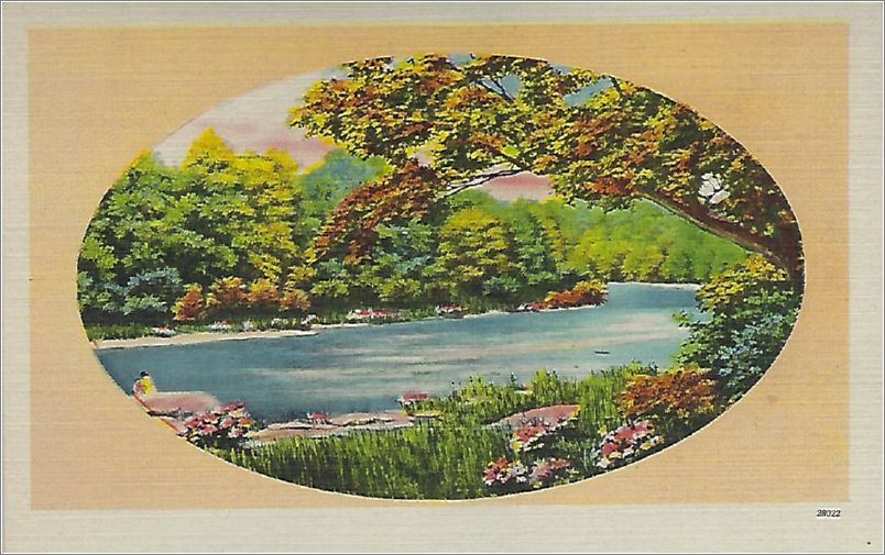 (unmarked) river through trees, pink oval (card has no APC number) x19-apc-28022-a01-f