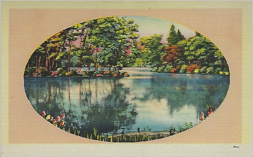 (unmarked) river with island, pink oval (card has no APC number) x19-apc-28027-a01-f