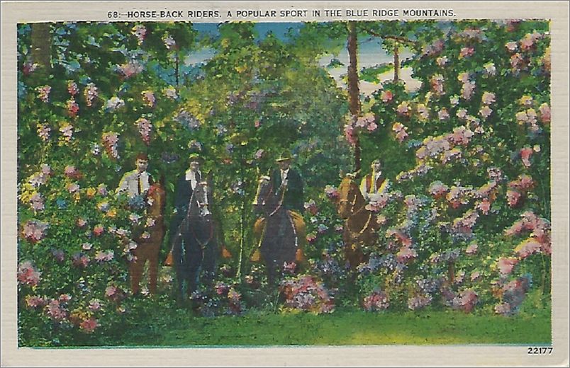 Horse-Back Riders, a Popular Sport in the Blue Ridge Mountains x19-apc068-22177-a01-f