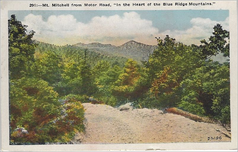 Mt Mitchell from Motor Road, 