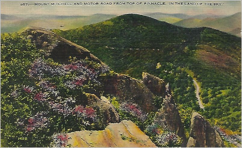 Mount Mitchell and Motor Road from Top of Pinnacle 