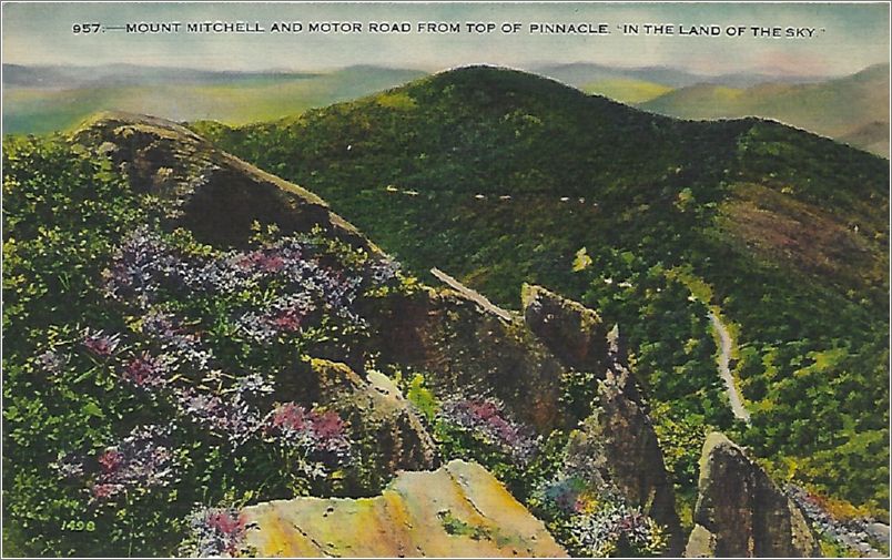 Mount Mitchell and Motor Road from Top of Pinnacle 