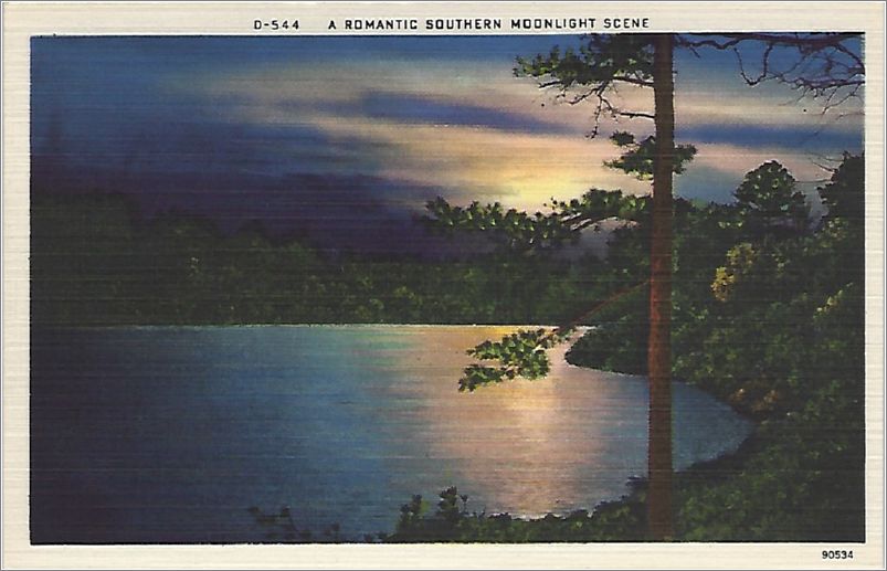 A Romantic Southern Moonlight Scene x19-apcd544a01-f
