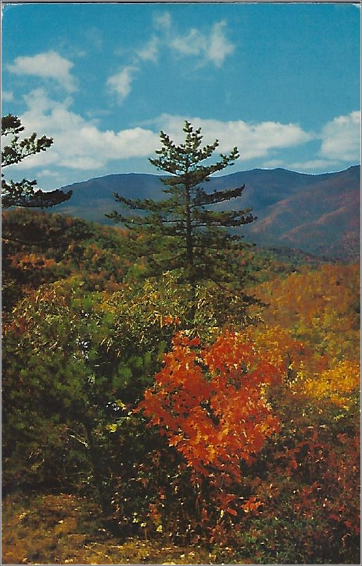 An Autumn Scene near Buck Creek Gap from Blue Ridge Parkway, Mount Mitchell in background x19-apck00078a01-f