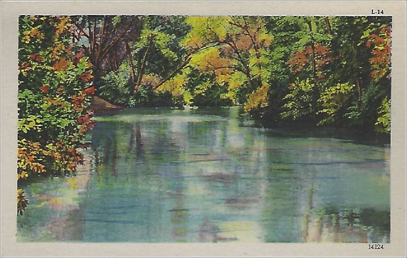 (unmarked) river with trees x19-apcl014a01-f