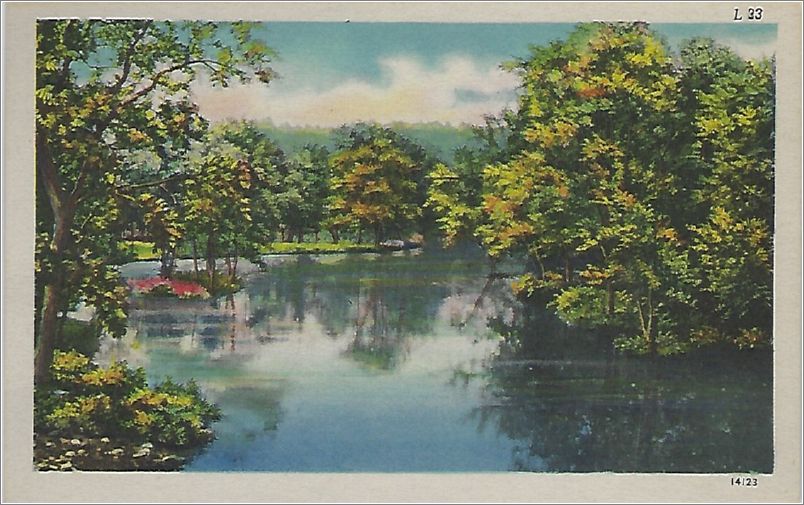 (unmarked) river with trees x19-apcl033a01-f