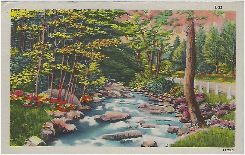 (unmarked) stream with rocks next to road x19-apcl035a01-f