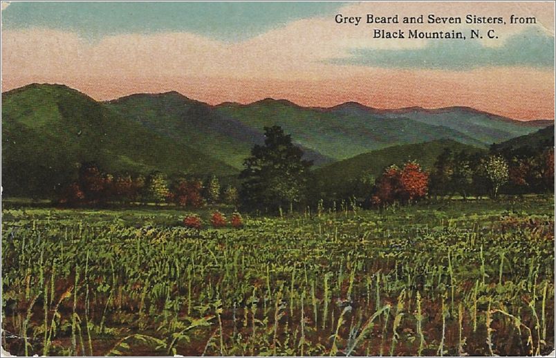 Grey Beard and Seven Sisters from Black Mountain NC x19-bbcb075a01-f